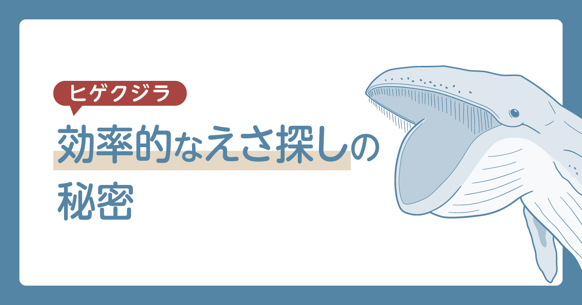 ヒゲクジラ　えさ探し　硫化ジメチル