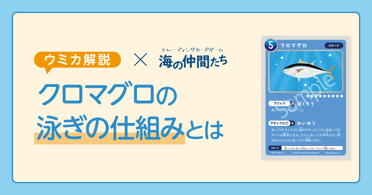 クロマグロ　泳ぎ